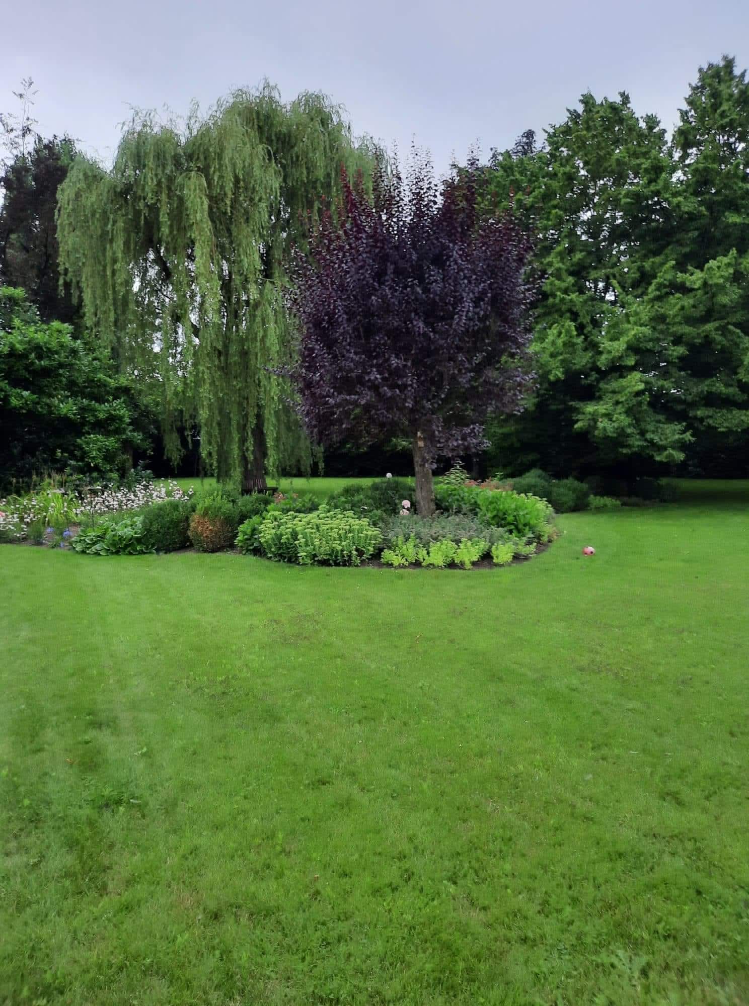 Een groene tuin met verzorgd gazon en weelderige beplanting